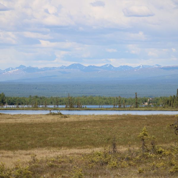 Back Lake Hiking Trail View